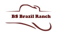 BS Brazil Ranch Logo