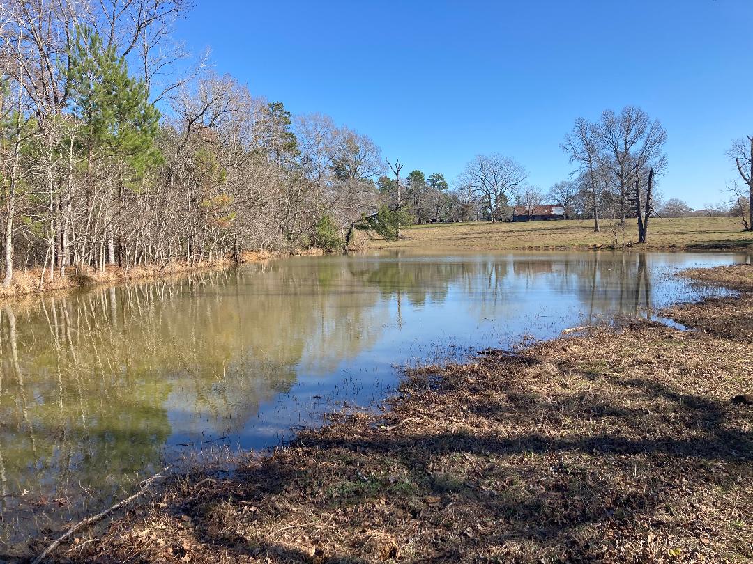 Pond